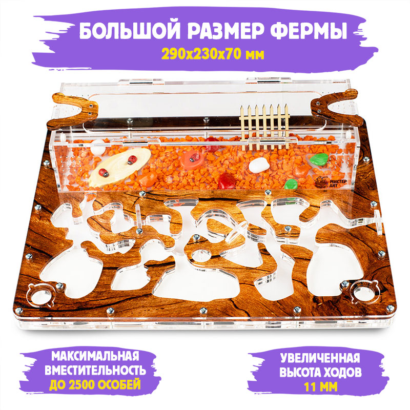 Муравьиная ферма Макси "Дерево" (ПОЛНЫЙ КОМПЛЕКТ) Муравьиная ферма Макси "Дерево" (ПОЛНЫЙ КОМПЛЕКТ)
