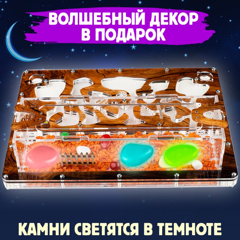 Муравьиная ферма Макси "Дерево" (ПОЛНЫЙ КОМПЛЕКТ) Муравьиная ферма Макси "Дерево" (ПОЛНЫЙ КОМПЛЕКТ)